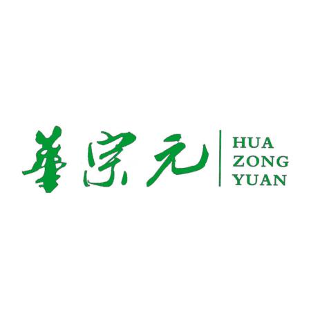 华宗元