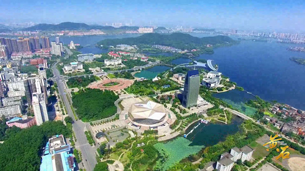 黄石商标交易之后容易发生的纠纷情况包括哪些