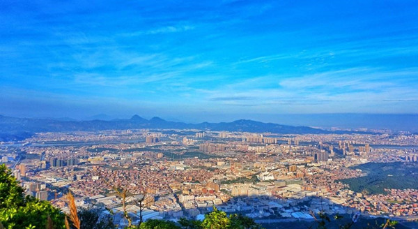 泉州商标交易需要准备哪些材料