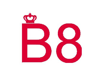 B 8