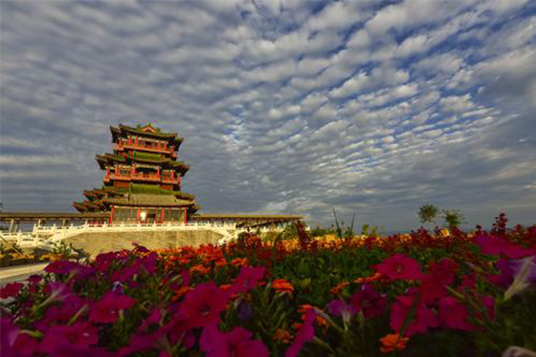 晋中商标买卖怎么挑选商标