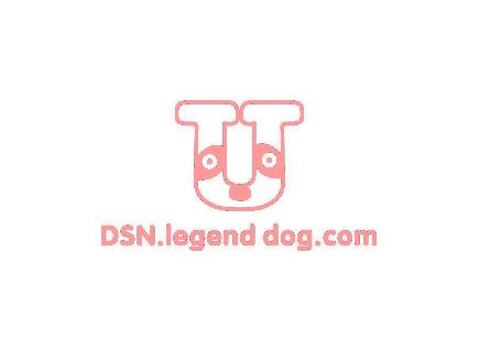 DSN.LEGEND DOG.COM