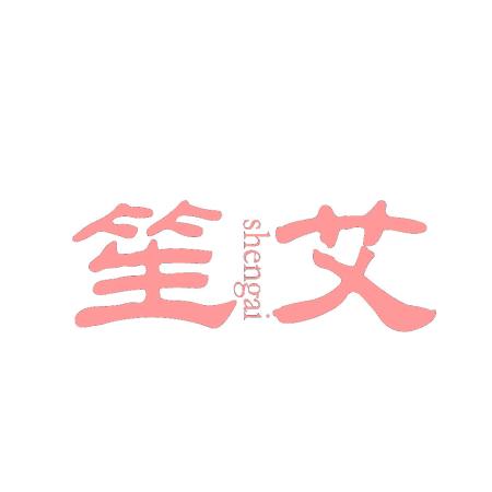 笙艾